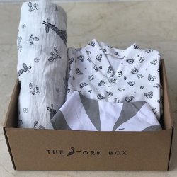 The Stork box